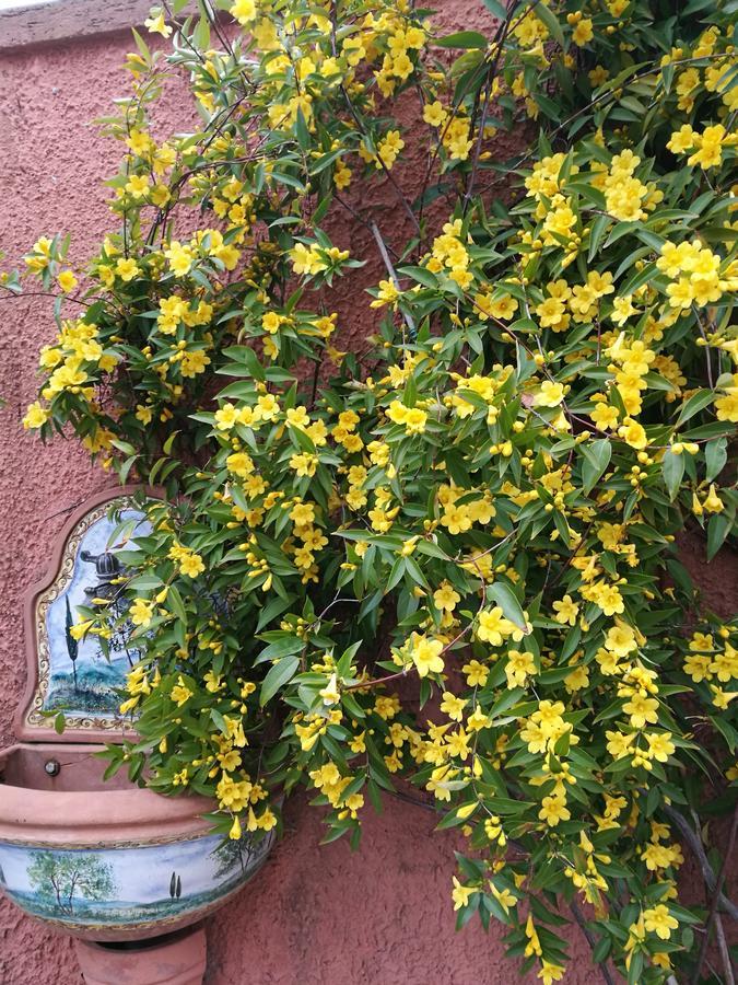 Giusy Bed And Breakfast Marina Di Carrara Exteriér fotografie
