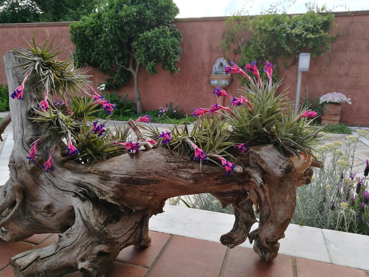 Giusy Bed And Breakfast Marina Di Carrara Exteriér fotografie